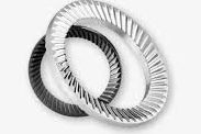 Schnorr Washers