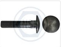 Cup Square Bolts