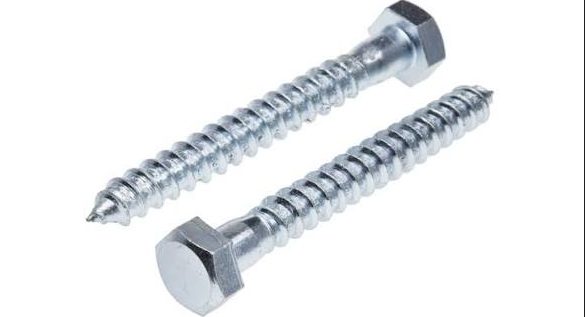 Coach Screws